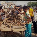 দেশের ১২ জেলায় ৬০ কিমি বেগে ঝড়ের পূর্বাভাস