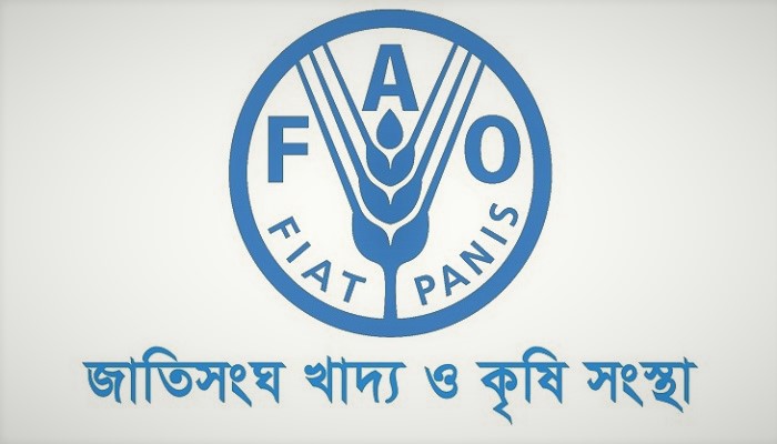 খাদ্যপণ্যের দাম কমেছে: জাতিসংঘ