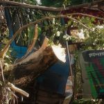 স্বাধীনতা বিরোধীদের অভিন্ন প্লাটফর্ম বিএনপি : ওবায়দুল কাদের