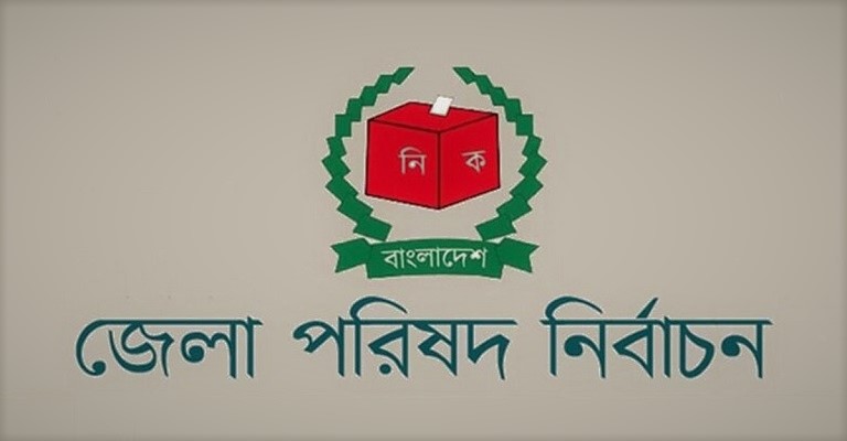 জেলা পরিষদ নির্বাচনে জয়ী হলেন যারা