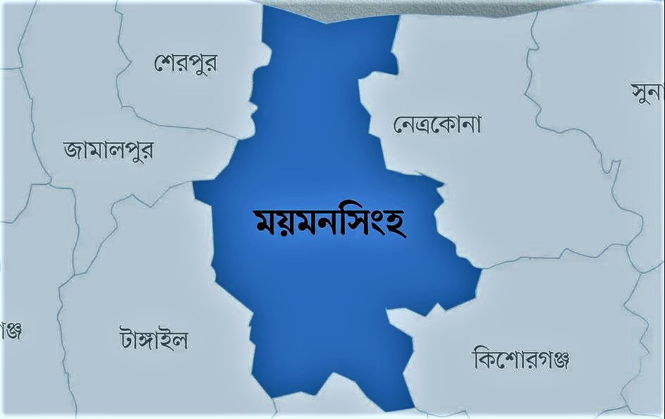 বিএনপি নেতাকর্মী