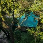 মাতৃদুদ্ধেও মাইক্রোপ্লাস্টিকের উপস্থিতি