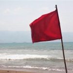 এক ঘণ্টায় ২৪৯ কাপ চা বানিয়ে গড়লেন রেকর্ড