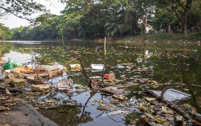 প্লাস্টিকের ব্যবহার