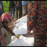 ডিবিপ্রধান হারুনসহ ৩শ পুলিশের বিরুদ্ধে বিএনপির মামলার আবেদন