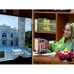 বিএনপির কর্মসূচিতে সহিংসতার ঘটনায় ৭ শতাধিক আটক: স্বরাষ্ট্রমন্ত্রী