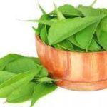 জেনে নিন কোন হরমোনের কারণে গর্ভধারণ ঘটে