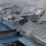 দুর্গাপূজার শুভেচ্ছা হিসেবে ভারতকে ৫ হাজার টন ইলিশ রপ্তানি করবে বাংলাদেশ