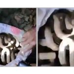 জাতির পিতা ও শহীদ বুদ্ধিজীবীদের প্রতি গভীর শ্রদ্ধা নিবেদন করেছেন প্রধানমন্ত্রী