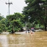 জাতীয় সাংবিধানিক কাউন্সিল গঠনে এনসিপির সমর্থন