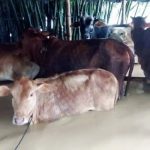 “বন্ধ হয়ে যাওয়া মালয়েশিয়ার শ্রমবাজার চালু করতে কাজ করছে সরকার”