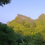 “যুবকদের ভোটার তালিকায় আনতে চাই”