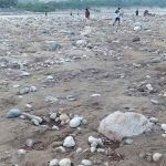 ‘৩৭টি সুপারিশ বাস্তবায়িত, ২৪৬টি চলমান’