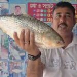 গণঅভ্যুত্থানের নামে অপকর্মের বিরুদ্ধে কঠোর ব্যবস্থার আহ্বান এনসিপির