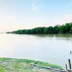 নির্বাচন ও গণভোটে মানুষ নির্ধারণ করবে আগামী ৫০ বছরের ভাগ্য: ফাওজুল কবির খান