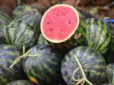 তরমুজের লাল রহস্য: রঙের পেছনে বিজ্ঞান কী বলে?