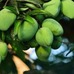 রক্তস্বল্পতা নয়, রক্ত বেড়ে যাওয়াই যখন বিপদের কারণ