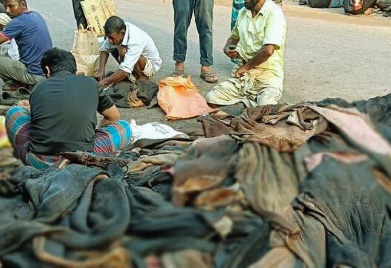 মৌসুমি ব্যবসায়ীদের ‘গলার কাঁটা’ কোরবানির চামড়া