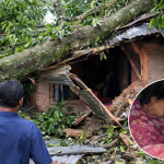 বর্জ্য থেকে জ্বালানি উৎপাদনে গুরুত্ব দিচ্ছে সরকার