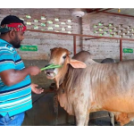 ২৯ কোটি ডলারের ঋণের প্রতিশ্রুতি: ঐতিহাসিক বাংলাদেশ-জাপান চুক্তি সম্পন্ন